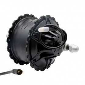 Moteur arrière 250W/80Nm/20" COMMANDO/NAVY
