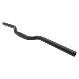 Guidon LITHOR/BRAVE/GRANIT