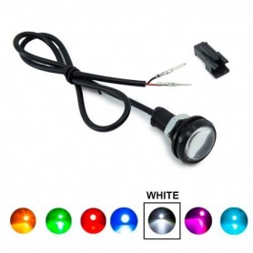LED œil d'aigle 12V blanc
