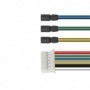 5/B50 Smartgyro Rockway EVO