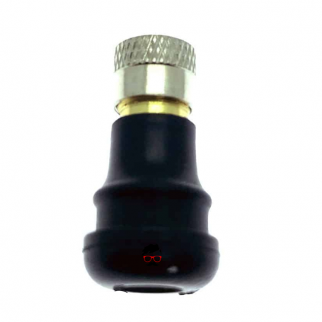 Tubeless tire valve