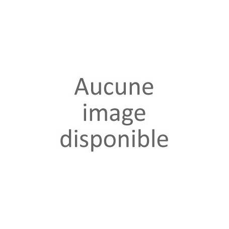 Front light 6V 2,1W Ninebot E22 / E25 / E45
